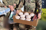 1 Для светлой Пасхи: депутаты областной Думы отвезли военным вкусные подарки к празднику