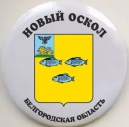 Представители руководства Думы стали участниками заседания Новооскольского Совета депутатов